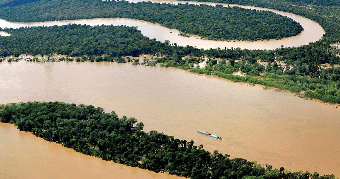 Brasil tem potencial para ser líder mundial da bioeconomia